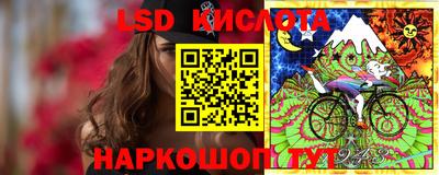 молекула духа Новозыбков