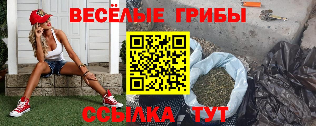 Галлюциногенные грибы мухоморы Солнечногорск