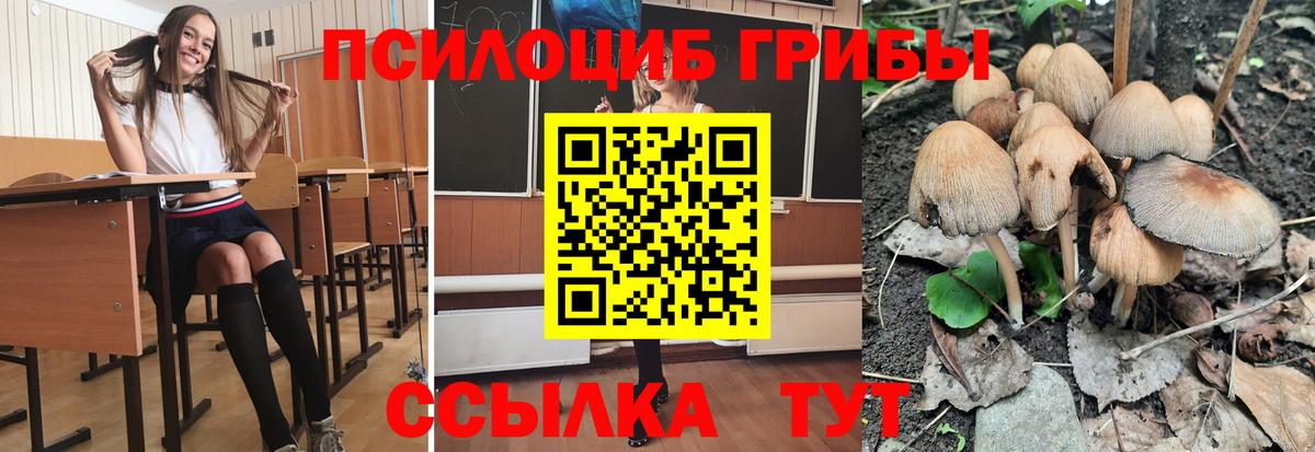 Галлюциногенные грибы MAGIC MUSHROOMS  Галлюциногенные грибы Magic Shrooms  Солнечногорск  Вход с VPN 